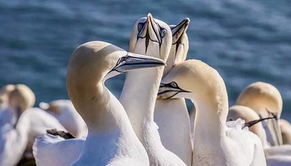 嘉兴最新的高价医保个人账户余额微信查询方法分享(嘉兴医保查询个人账户明细怎么查微信教程)