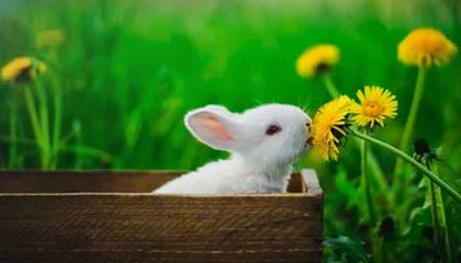 嘉兴最新的高价医保卡惠民保险代扣怎么取消掉了方法分享(嘉兴惠民医保怎么报销教程)